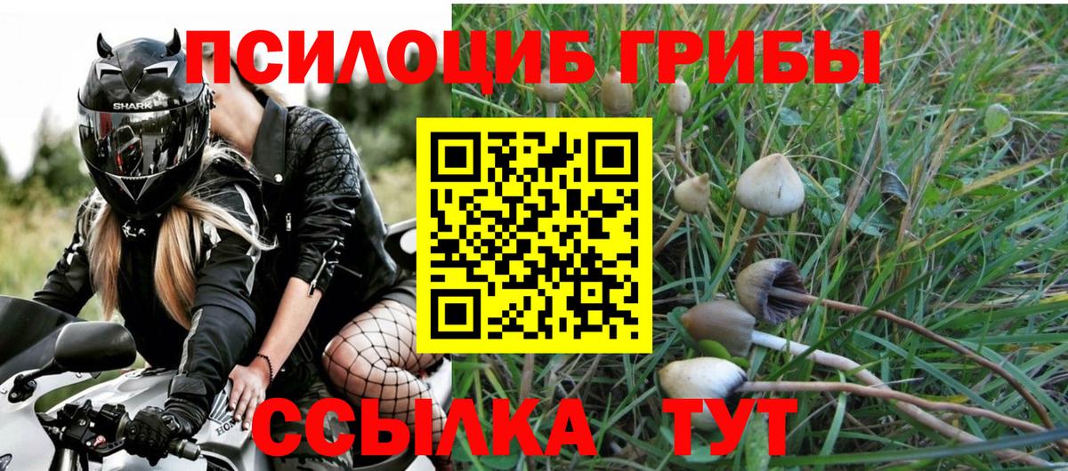 Псилоцибиновые грибы прущие грибы Чистополь