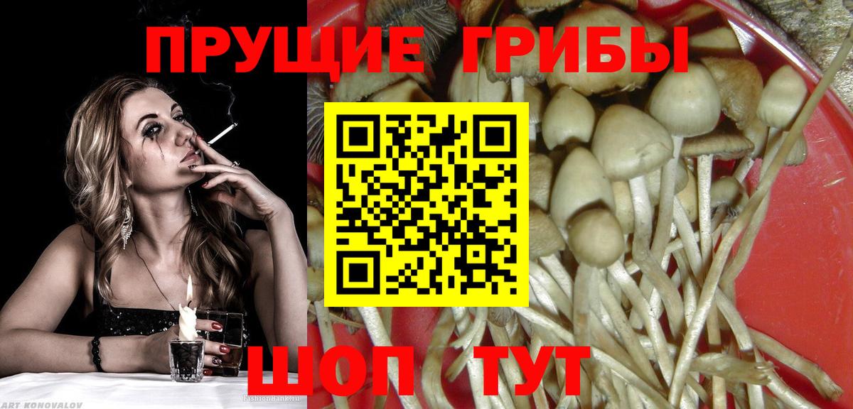 Галлюциногенные грибы мухоморы  Галлюциногенные грибы Magic Shrooms  Чистополь  Вход с VPN 