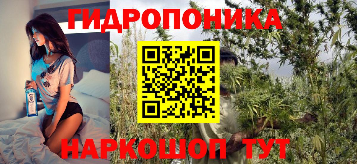 Бошки Шишки White Widow  Вход с VPN  Бошки Шишки ГИДРОПОН  Чистополь 